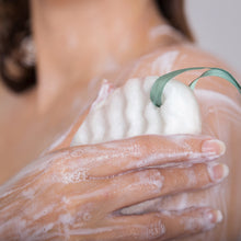 Load image into Gallery viewer, Soap Sponge