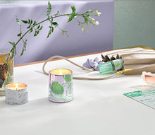 Load image into Gallery viewer, Illume- Summer Vine