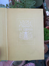 Load image into Gallery viewer, Vintage Book