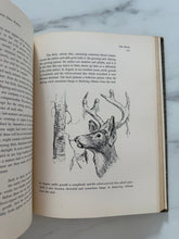 Load image into Gallery viewer, Vintage Whitetail Book