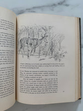 Load image into Gallery viewer, Vintage Whitetail Book
