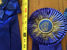 Load image into Gallery viewer, Vintage horse ribbons