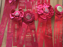 Load image into Gallery viewer, Vintage horse ribbons