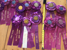 Load image into Gallery viewer, Vintage horse ribbons