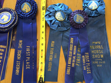 Load image into Gallery viewer, Vintage horse ribbons
