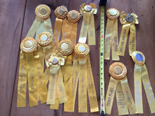 Load image into Gallery viewer, Vintage horse ribbons