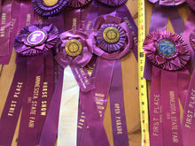 Load image into Gallery viewer, Vintage horse ribbons