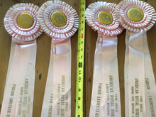 Load image into Gallery viewer, Vintage horse ribbons