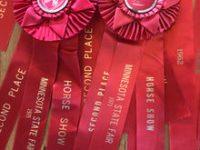 Load image into Gallery viewer, Vintage horse ribbons