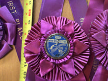 Load image into Gallery viewer, Vintage horse ribbons