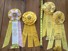 Load image into Gallery viewer, Vintage horse ribbons