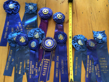 Load image into Gallery viewer, Vintage horse ribbons