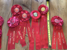Load image into Gallery viewer, Vintage horse ribbons