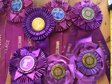 Load image into Gallery viewer, Vintage horse ribbons