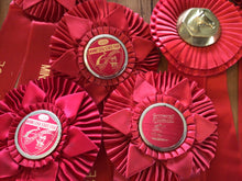 Load image into Gallery viewer, Vintage horse ribbons