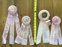 Load image into Gallery viewer, Vintage horse ribbons