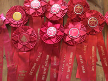 Load image into Gallery viewer, Vintage horse ribbons