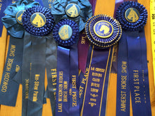 Load image into Gallery viewer, Vintage horse ribbons