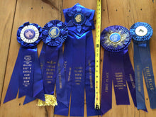 Load image into Gallery viewer, Vintage horse ribbons