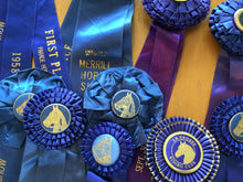Load image into Gallery viewer, Vintage horse ribbons