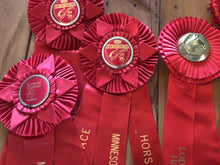 Load image into Gallery viewer, Vintage horse ribbons