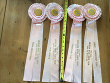 Load image into Gallery viewer, Vintage horse ribbons