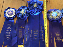 Load image into Gallery viewer, Vintage horse ribbons