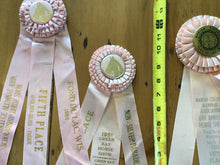 Load image into Gallery viewer, Vintage horse ribbons
