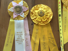 Load image into Gallery viewer, Vintage horse ribbons