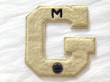 Load image into Gallery viewer, Vintage Varsity Letter- G
