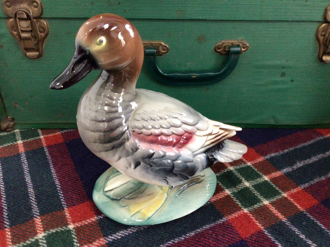 Vintage Gadwell Drake ceramic duck