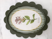 Load image into Gallery viewer, Green Scalloped Frame with Botanical Print
