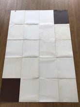 Load image into Gallery viewer, Vintage Amer-Frohse Chest And Abdomen Chart #6
