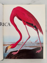 Load image into Gallery viewer, Vintage Birds of America Book

