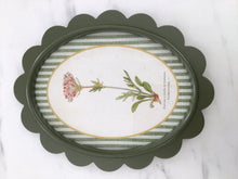 Load image into Gallery viewer, Green Scalloped Frame with Botanical Print
