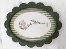 Load image into Gallery viewer, Green Scalloped Frame with Botanical Print
