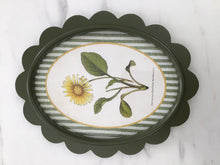 Load image into Gallery viewer, Green Scalloped Frame with Botanical Print
