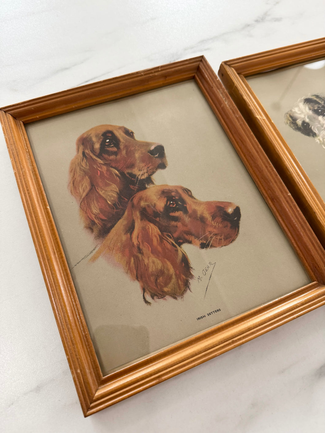 Vintage Dog Prints