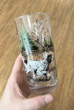 Load image into Gallery viewer, Vintage set of 4 Hunting Dog Glasses
