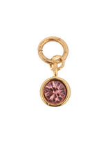 Load image into Gallery viewer, Charm Bar- Birthstone Charm
