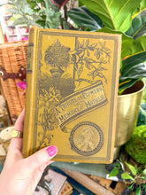 Load image into Gallery viewer, Tribute of Flowers Vintage Book
