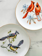 Load image into Gallery viewer, Vintage Bird Plates
