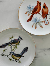 Load image into Gallery viewer, Vintage Bird Plates
