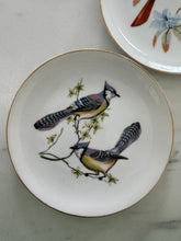Load image into Gallery viewer, Vintage Bird Plates
