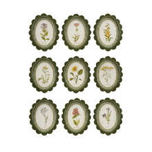 Load image into Gallery viewer, Green Scalloped Frame with Botanical Print

