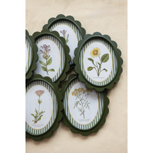 Load image into Gallery viewer, Green Scalloped Frame with Botanical Print
