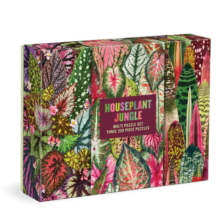 Houseplant Jungle 3 - 250 piece puzzles
