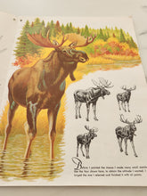 Load image into Gallery viewer, Vintage How to draw and paint hoofed animals book
