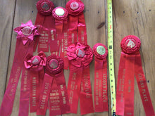 Load image into Gallery viewer, Vintage horse ribbons
