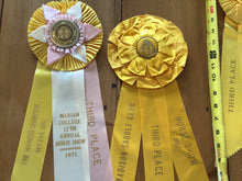 Load image into Gallery viewer, Vintage horse ribbons
